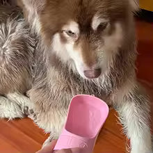 Bouteille d'eau portable pour chien et chat – Étanche, idéale pour les balades