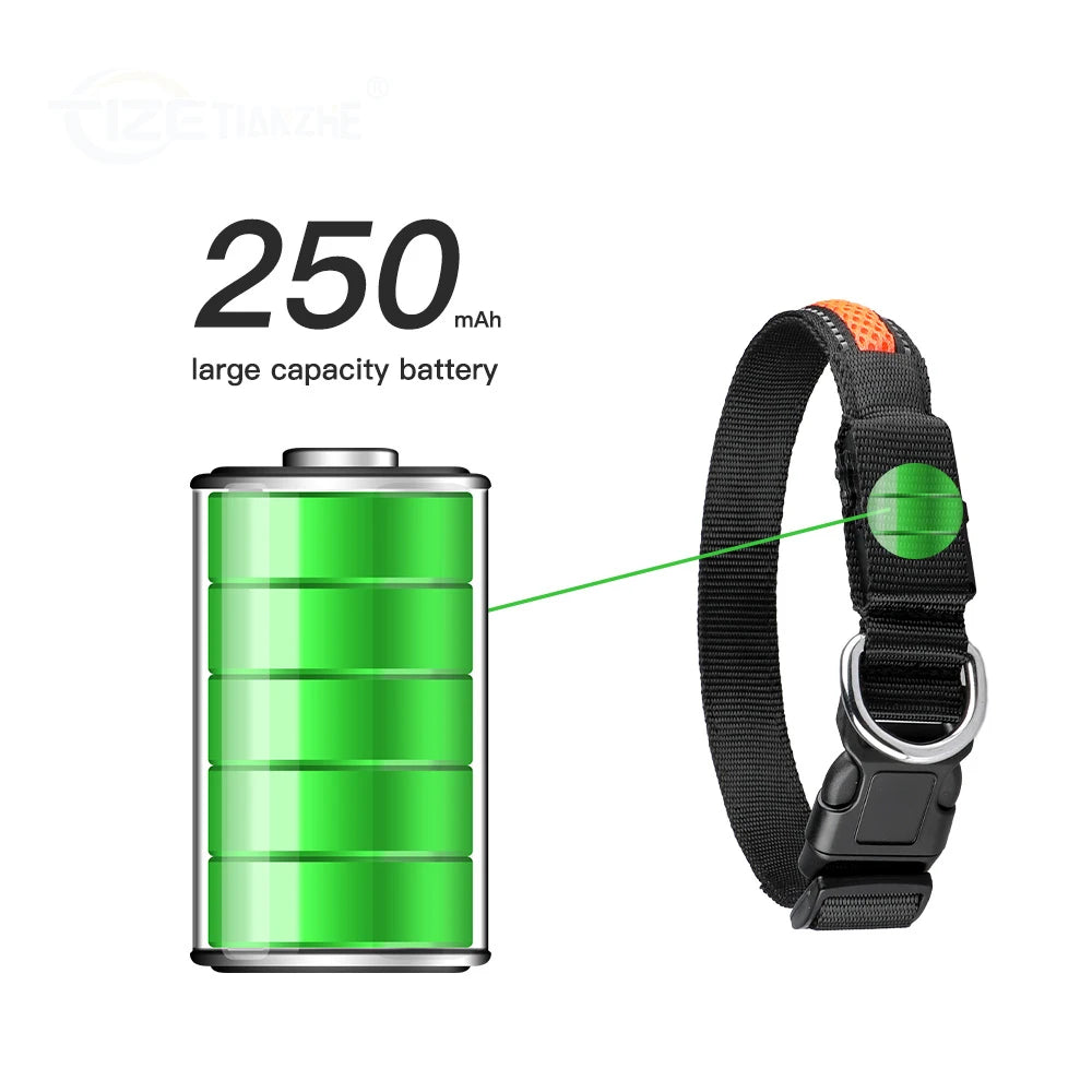 LED Dog Collar Luminous Pet Products Safety Stylish Flashing Glow Necklace Waterproof Reflective Pet Dog Accessories